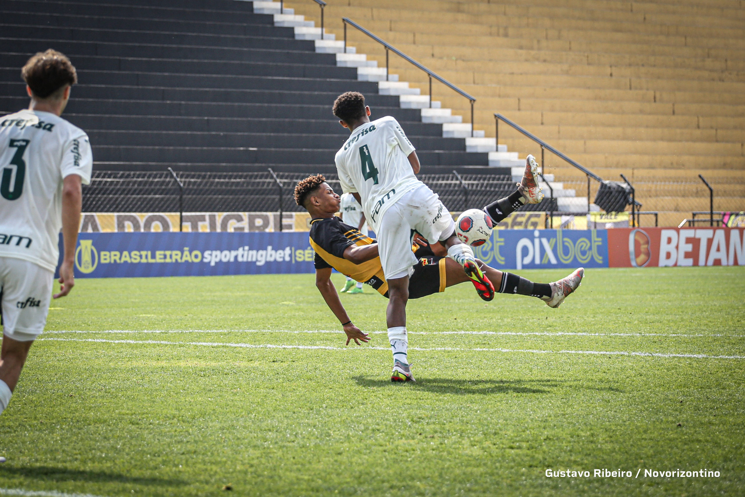 Veja fotos do jogo entre Novorizontino e Palmeiras - Fotos - R7 Futebol