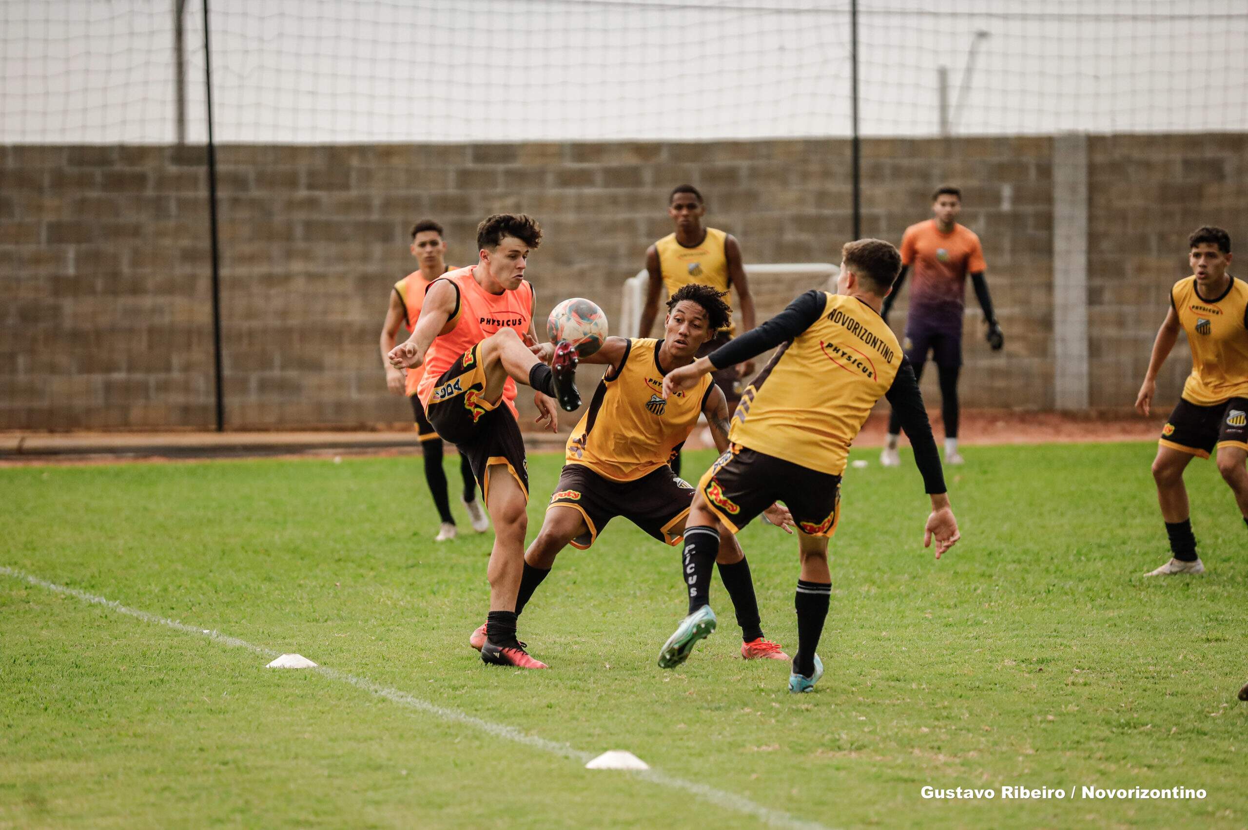 Novorizontino enfrentará o Palmeiras por uma vaga na semifinal do Paulista  Sub-15 – Grêmio Novorizontino